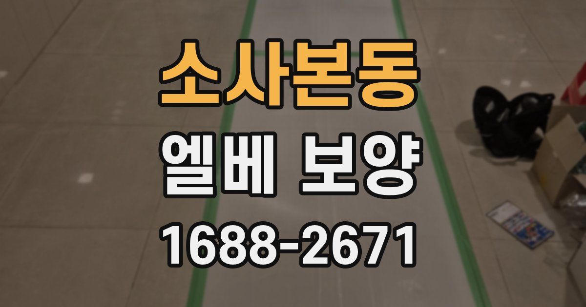 소사본동 엘베 보양
