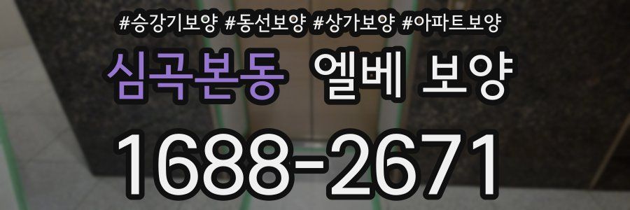 심곡본동 엘베 보양