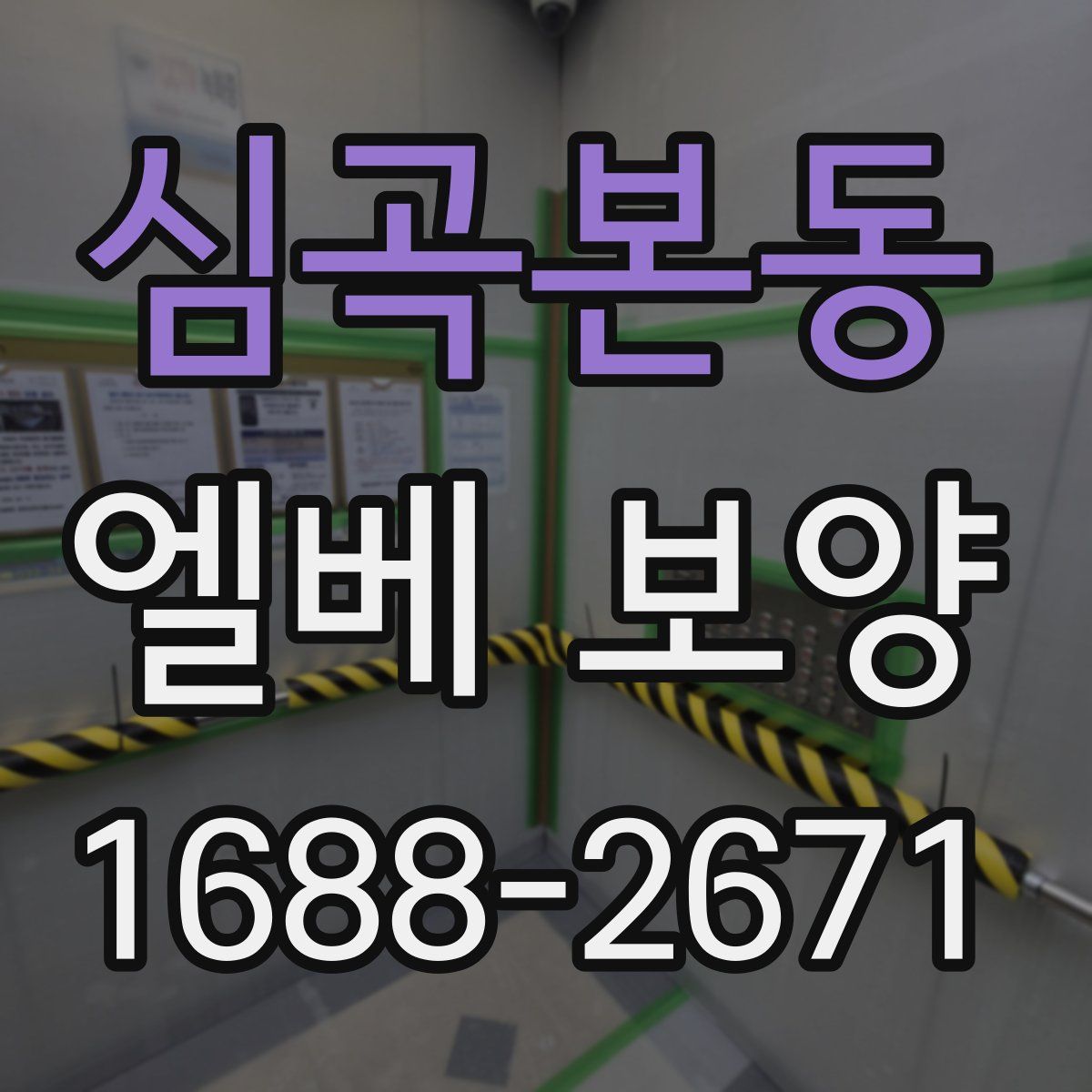 심곡본동 엘베 보양