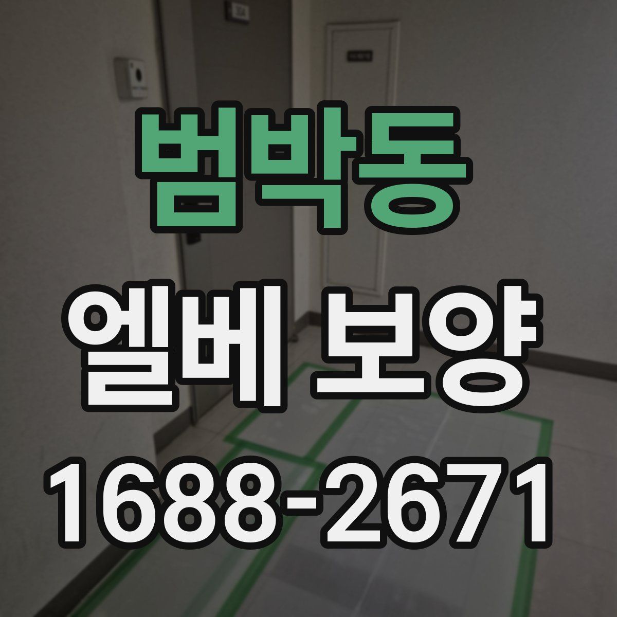 범박동 엘베 보양