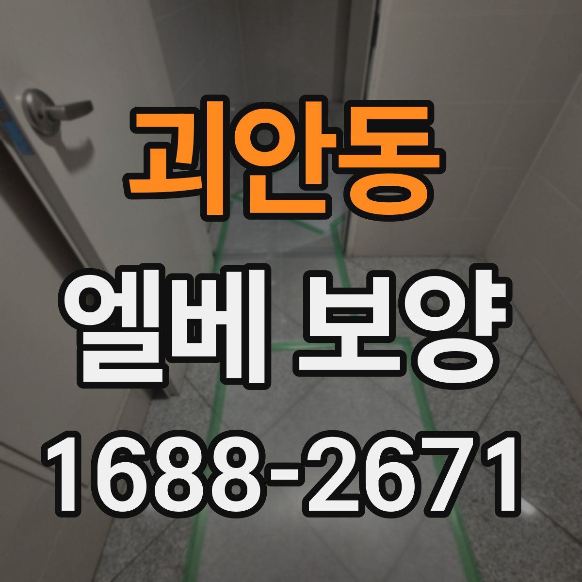 괴안동 엘베 보양