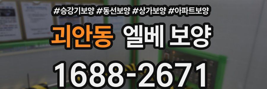 괴안동 엘베 보양