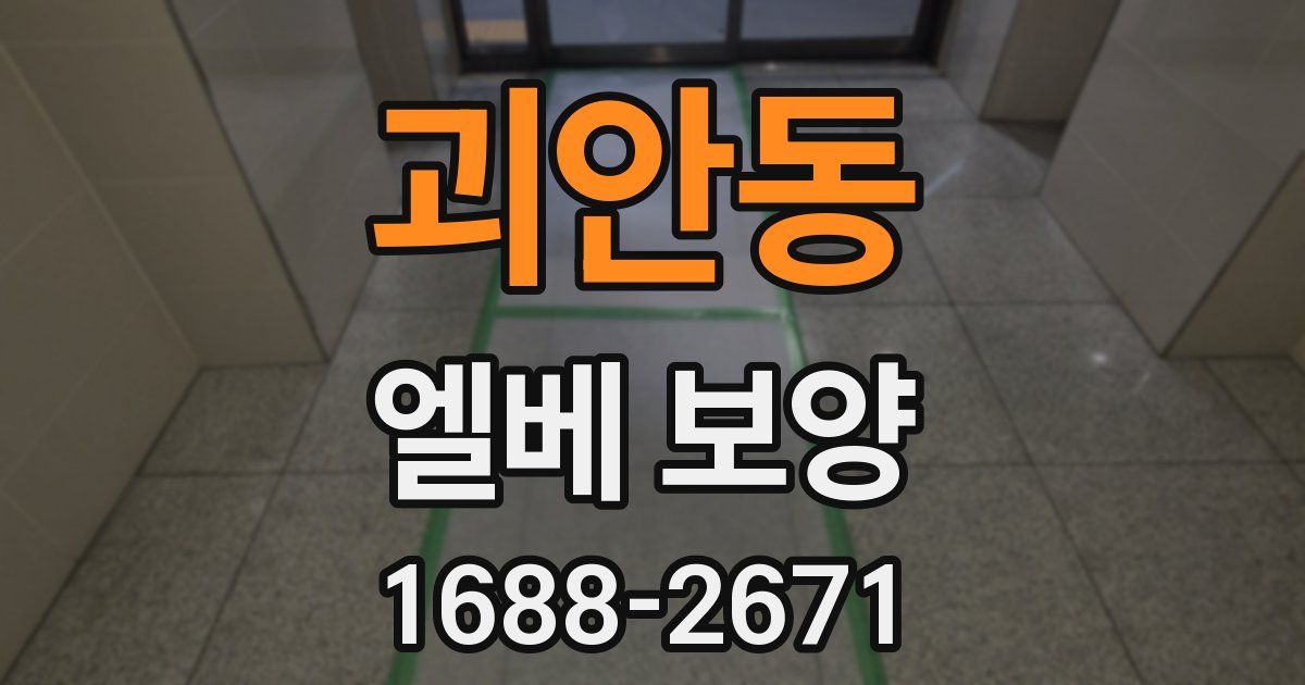 괴안동 엘베 보양