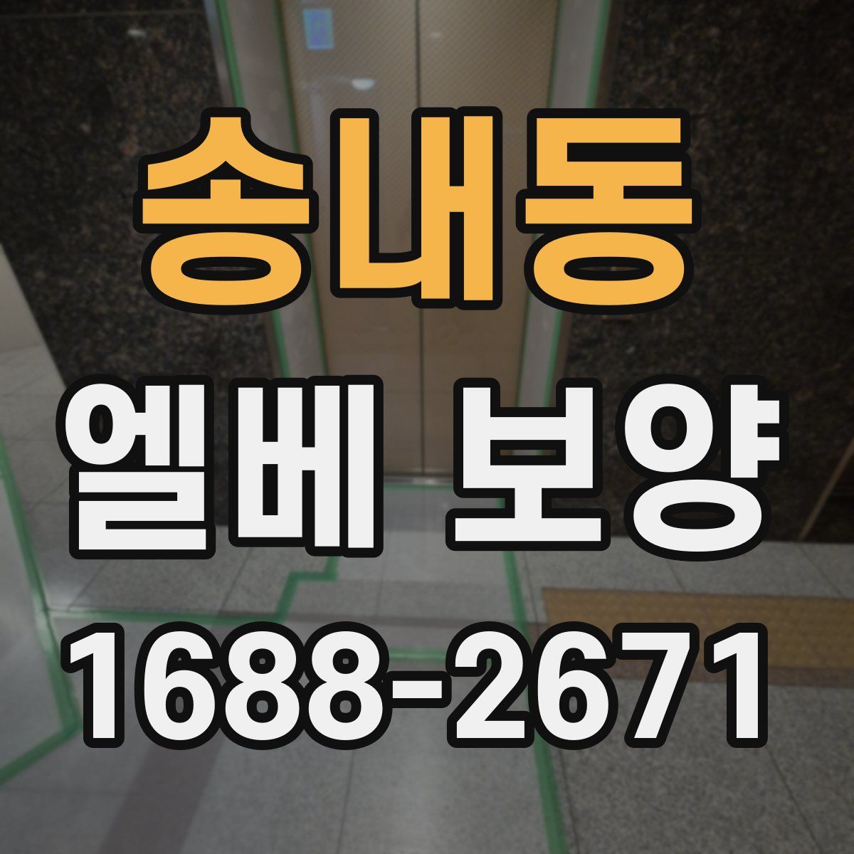 송내동 엘베 보양