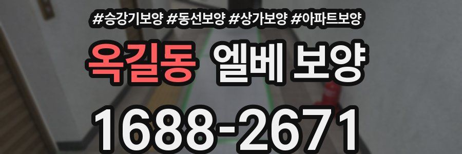옥길동 엘베 보양