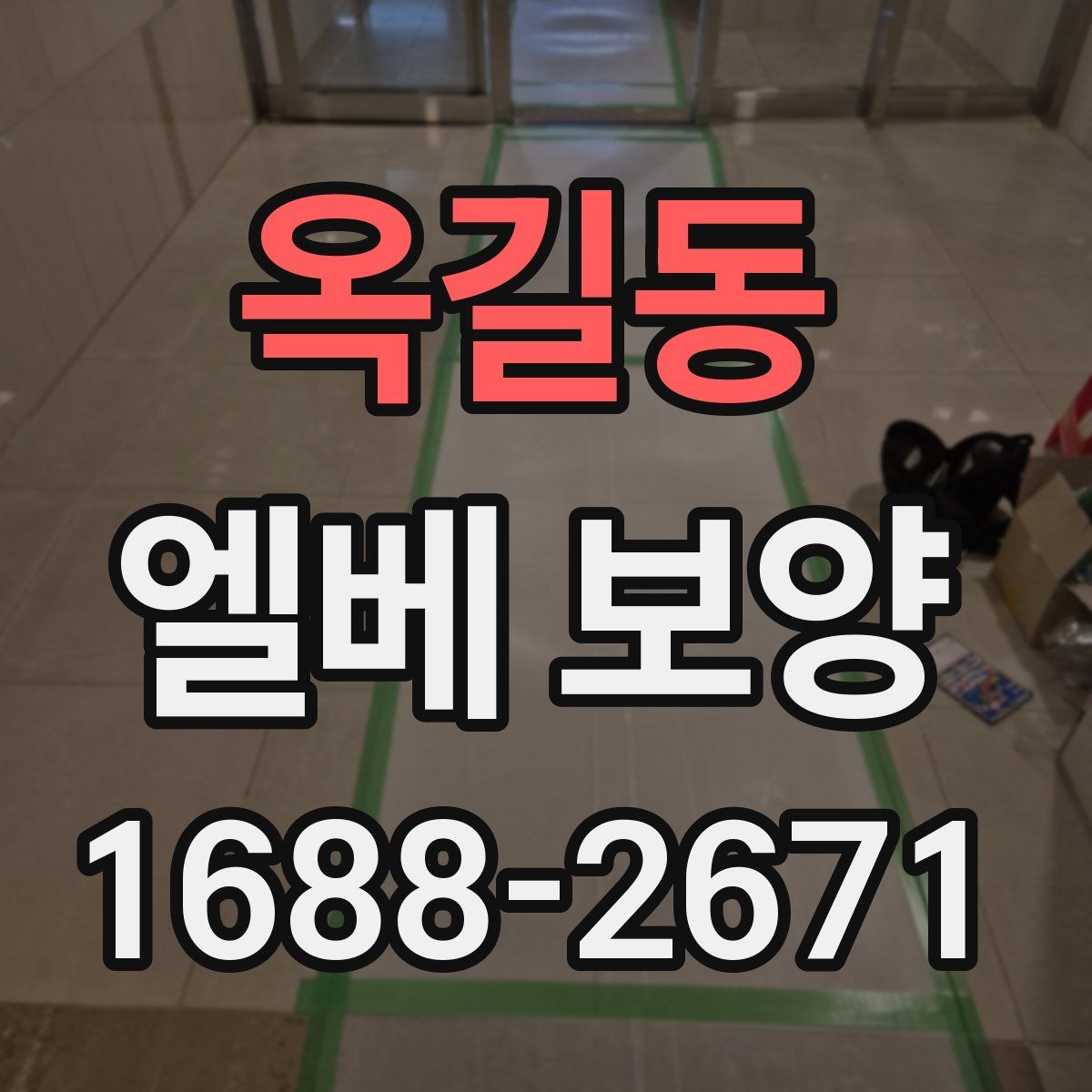 옥길동 엘베 보양