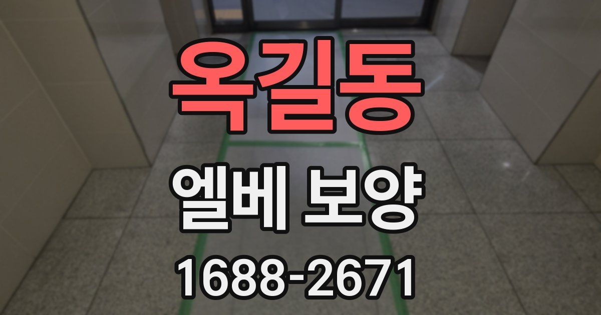 옥길동 엘베 보양