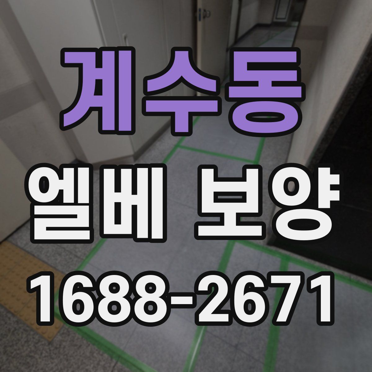 계수동 엘베 보양