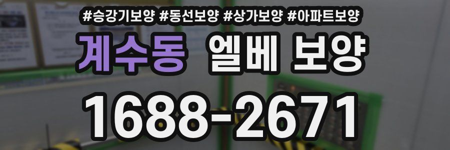 계수동 엘베 보양
