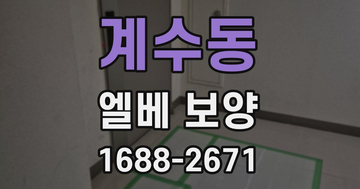 계수동 엘베 보양