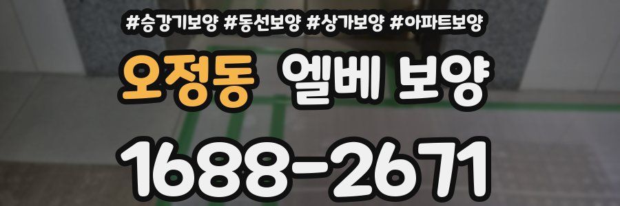 오정동 엘베 보양