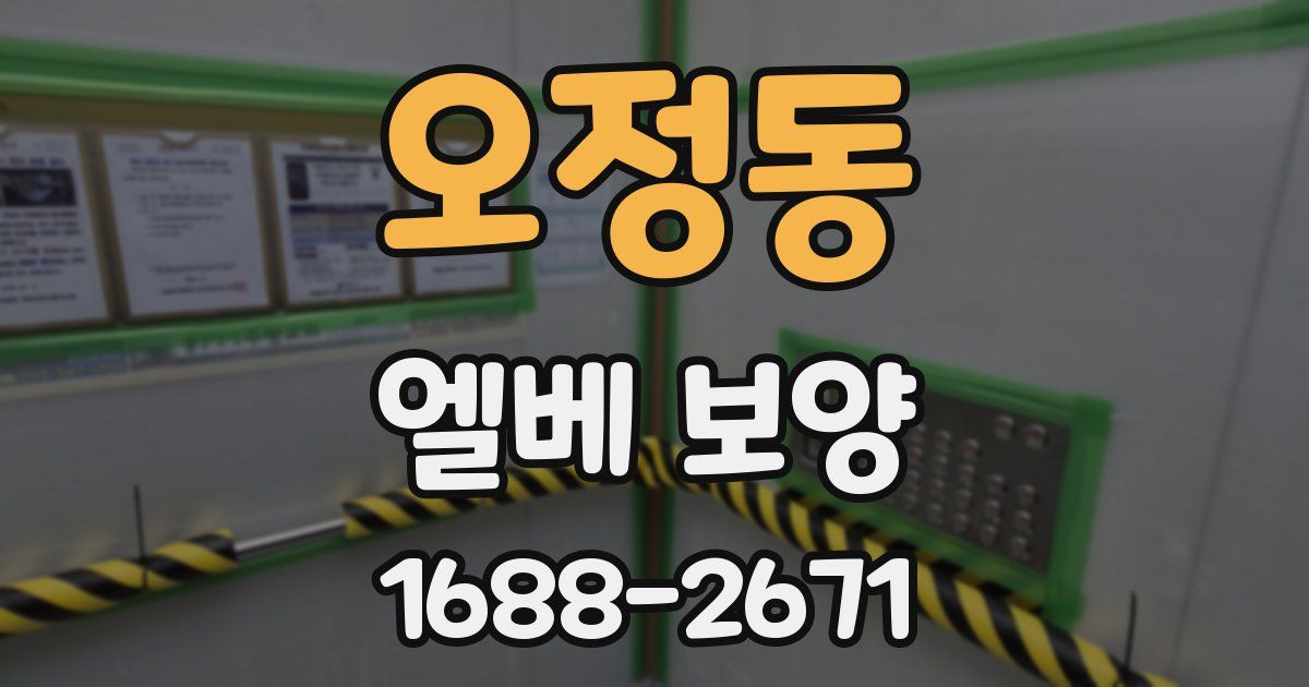 오정동 엘베 보양