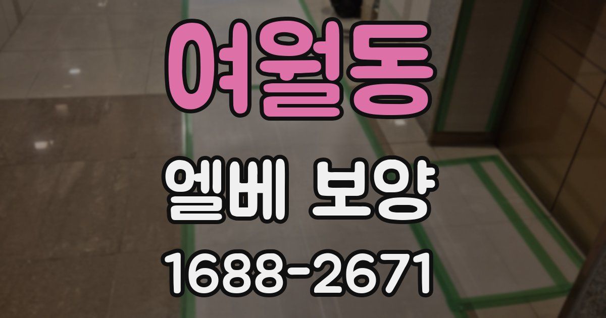 여월동 엘베 보양