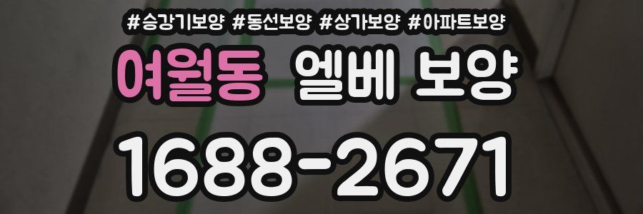 여월동 엘베 보양