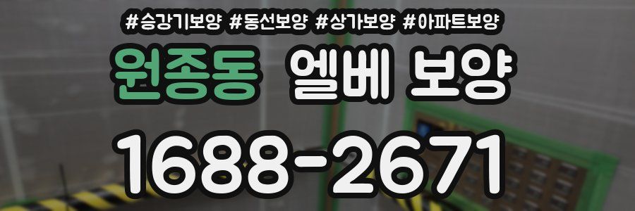 원종동 엘베 보양