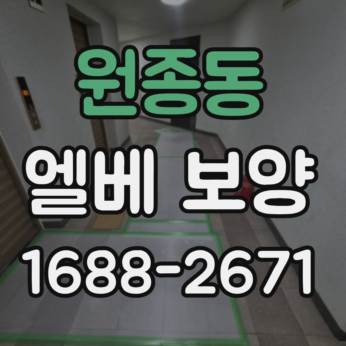 원종동 엘베 보양