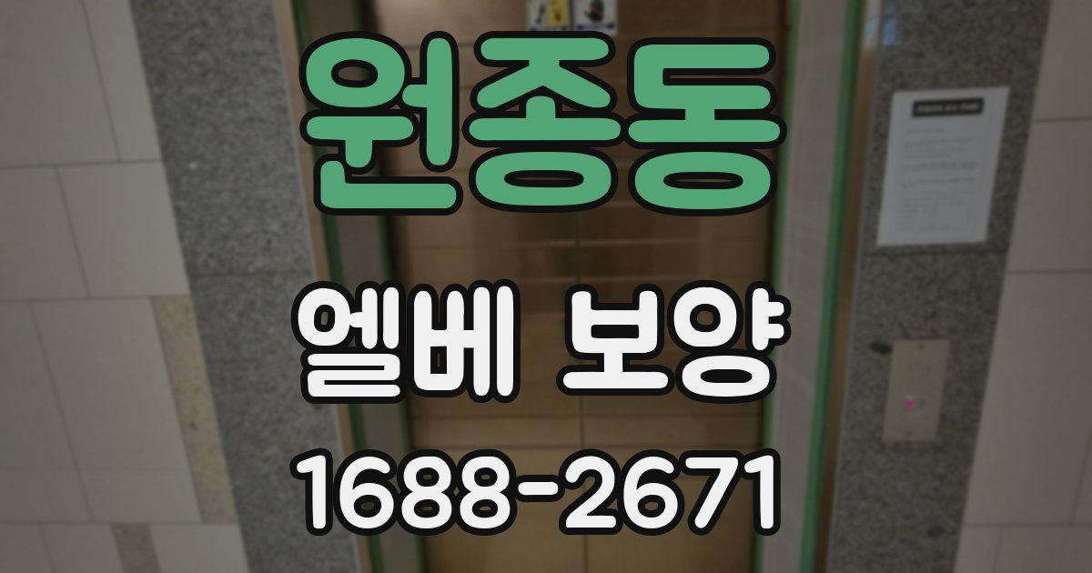 원종동 엘베 보양