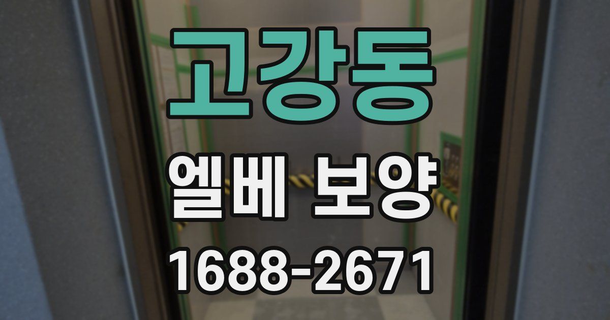 고강동 엘베 보양