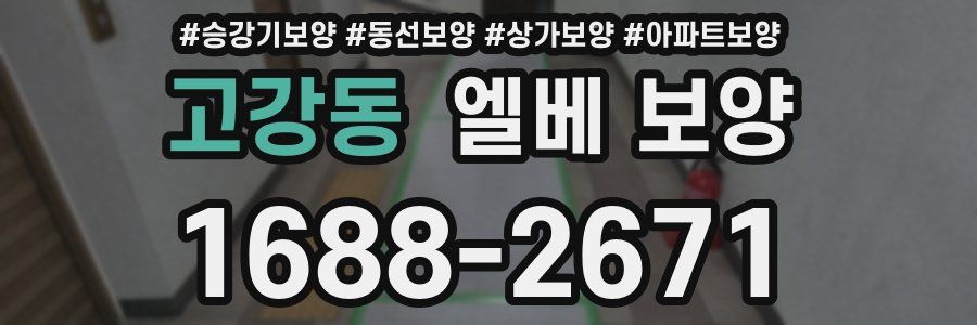 고강동 엘베 보양