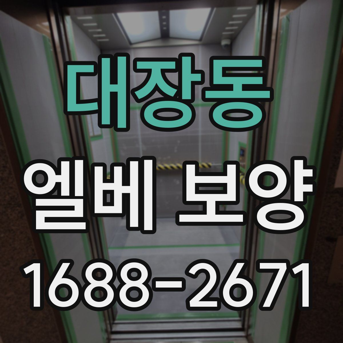 대장동 엘베 보양