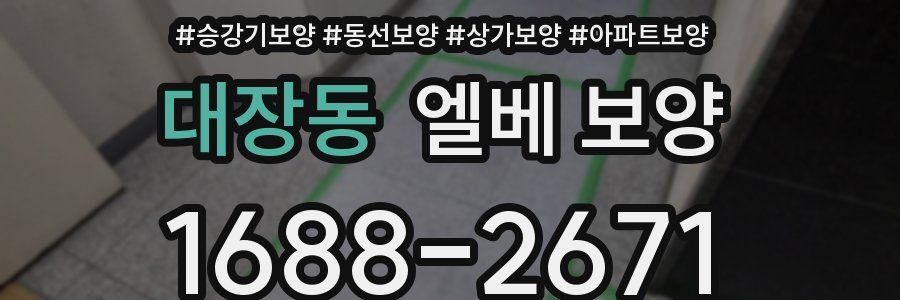 대장동 엘베 보양