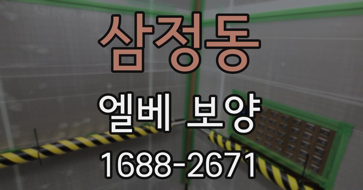 삼정동 엘베 보양