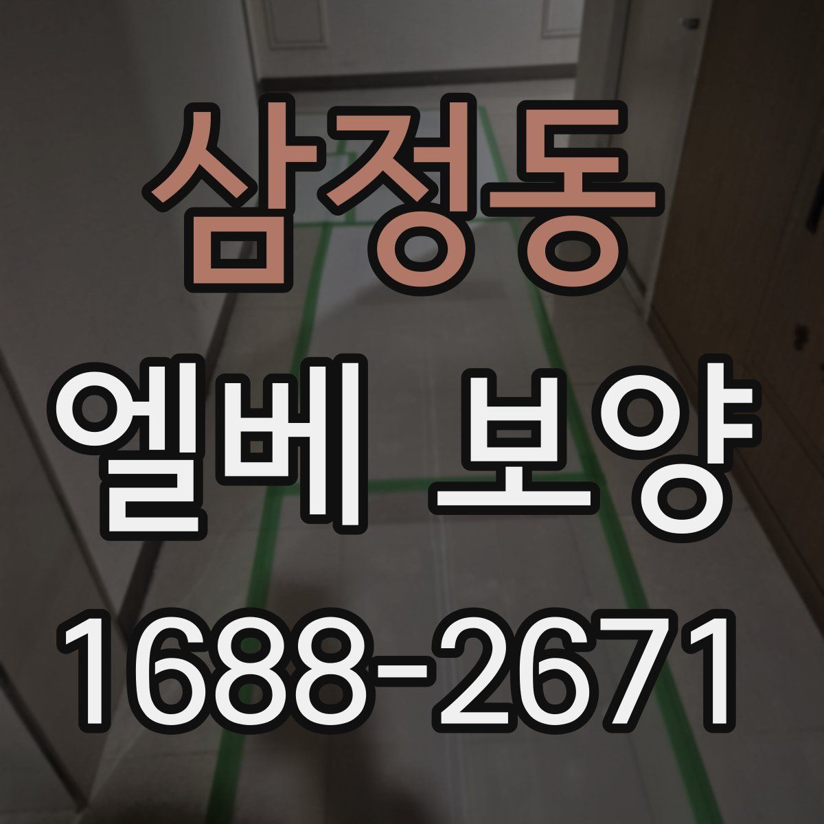 삼정동 엘베 보양