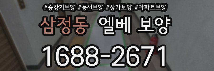 삼정동 엘베 보양