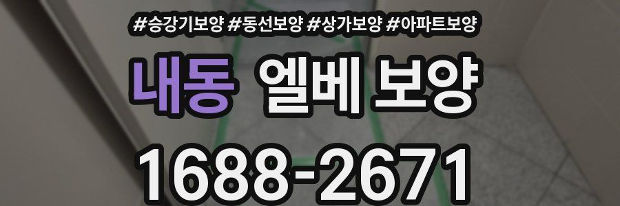 내동 엘베 보양
