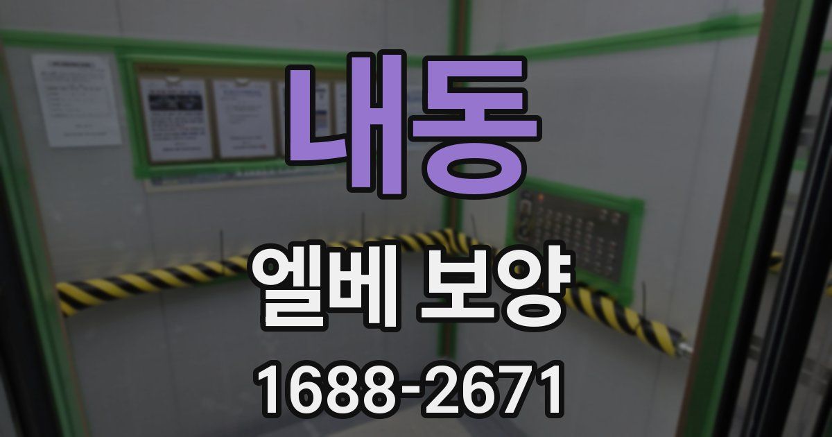 내동 엘베 보양