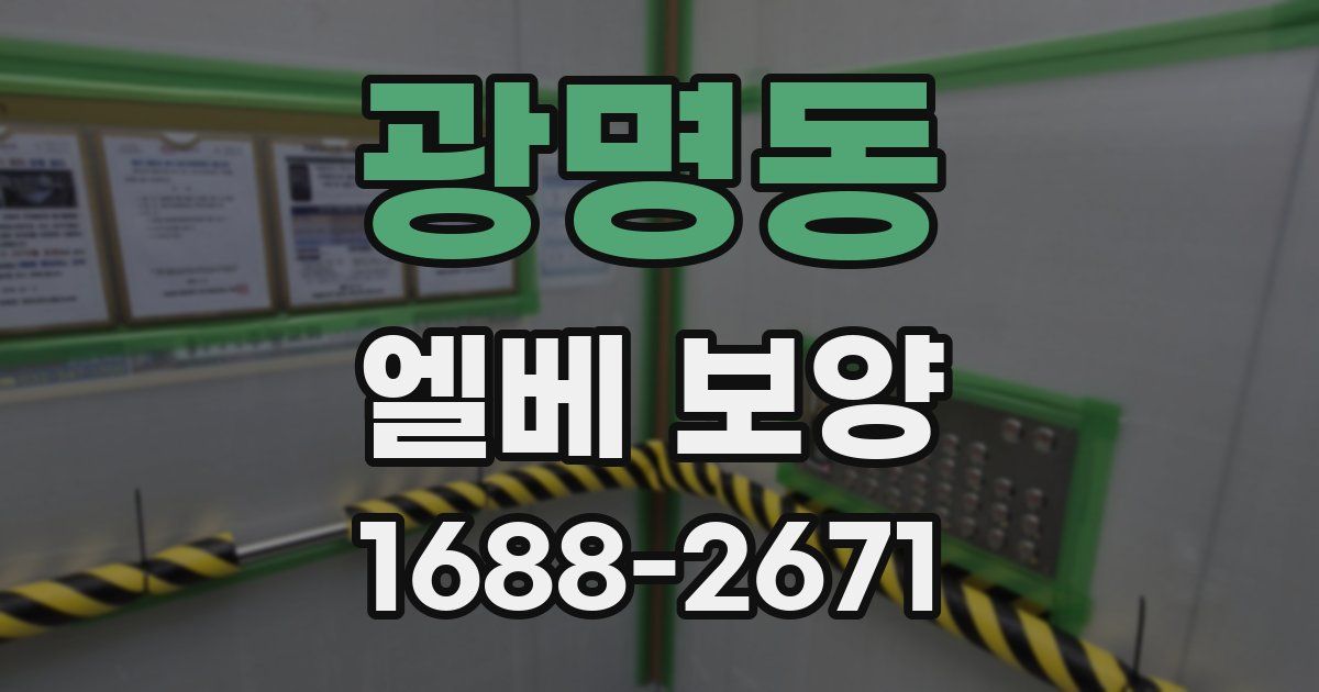 광명동 엘베 보양
