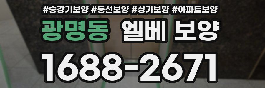 광명동 엘베 보양