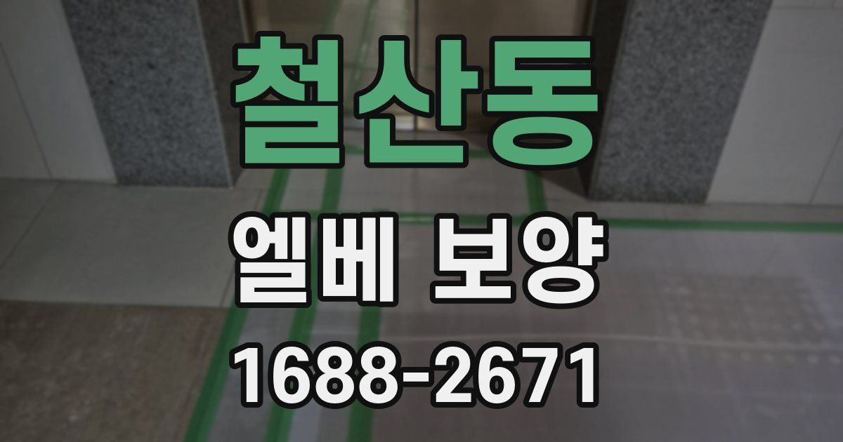 철산동 엘베 보양