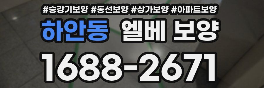 하안동 엘베 보양