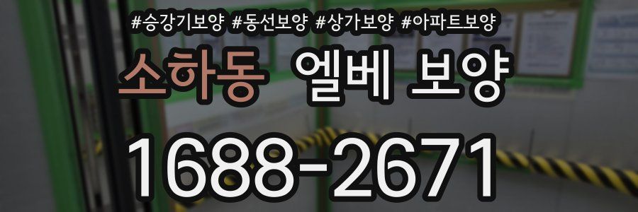소하동 엘베 보양