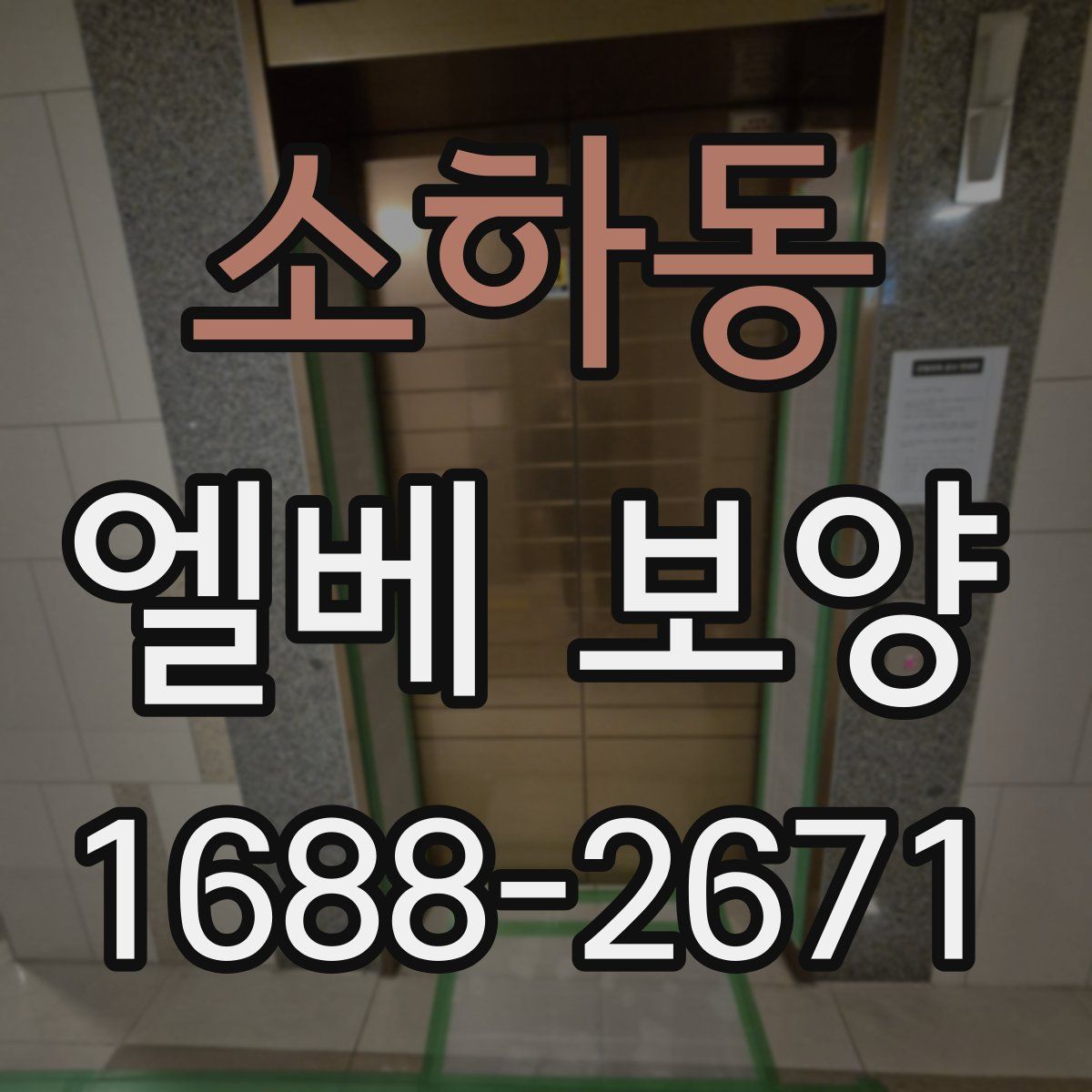 소하동 엘베 보양