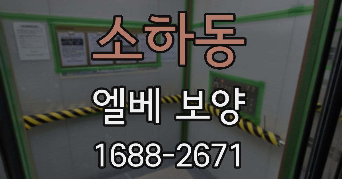 소하동 엘베 보양
