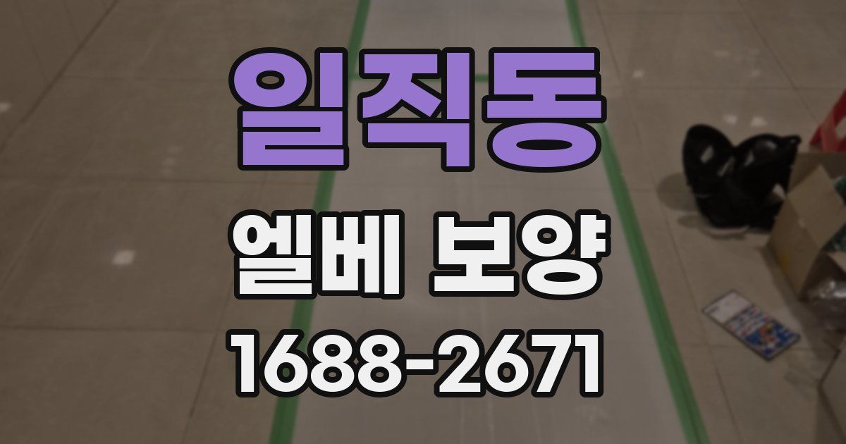 일직동 엘베 보양