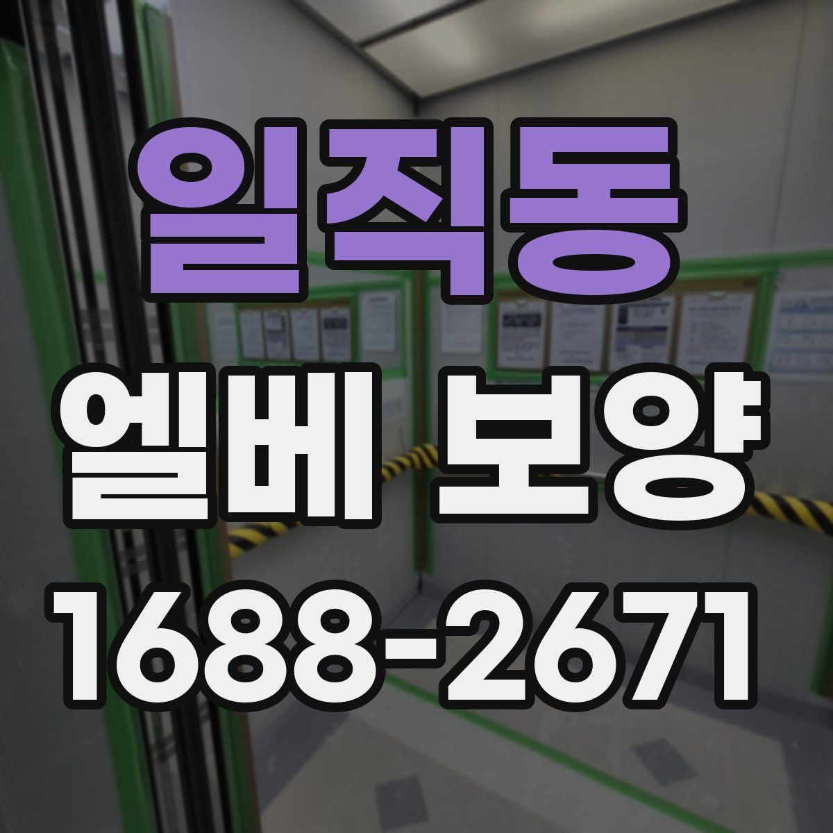 일직동 엘베 보양