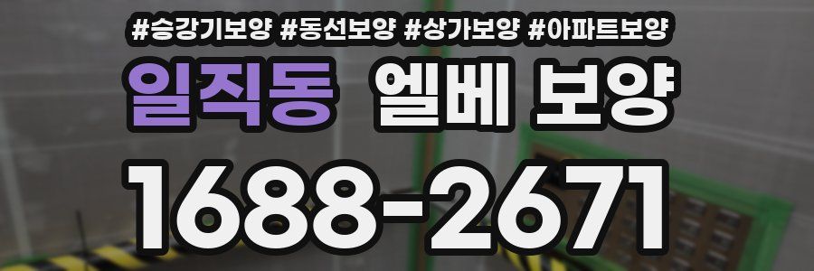 일직동 엘베 보양