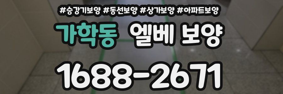 가학동 엘베 보양