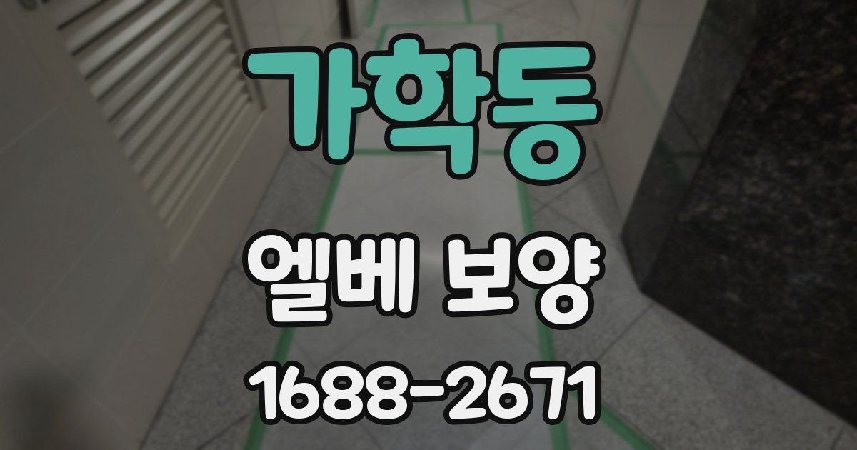 가학동 엘베 보양