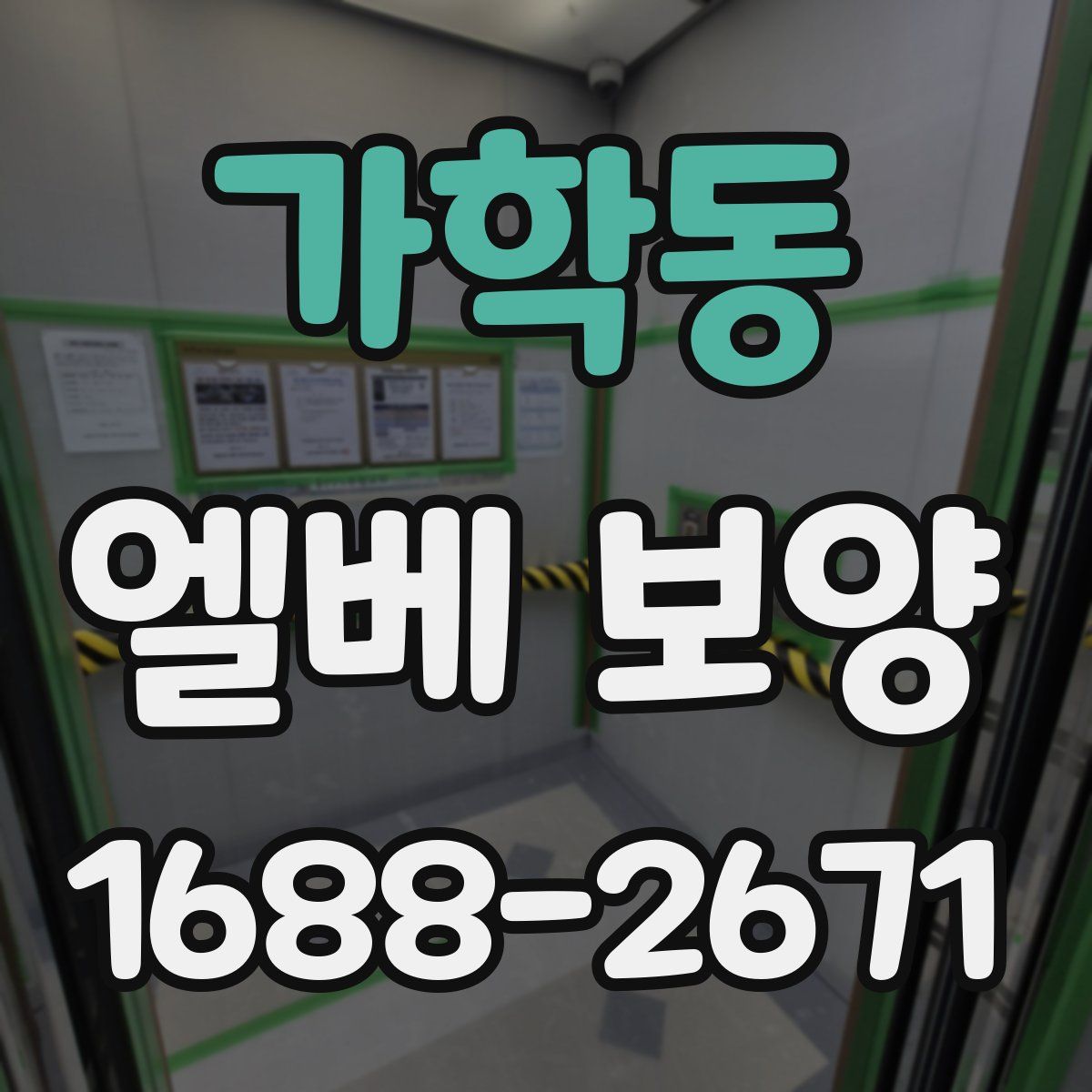 가학동 엘베 보양