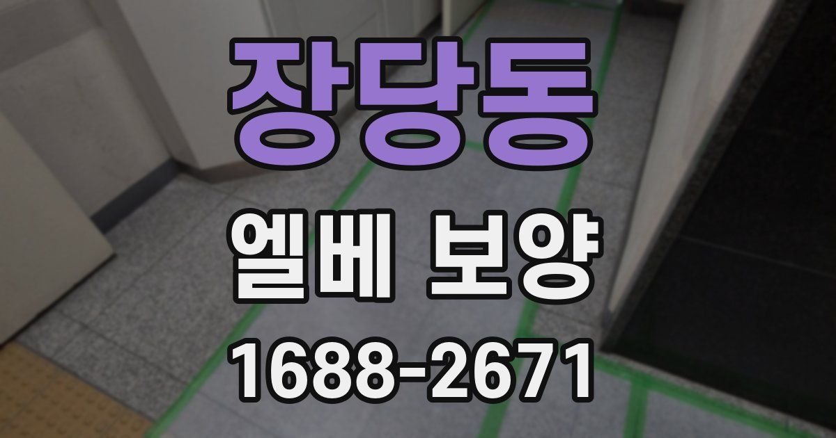 장당동 엘베 보양
