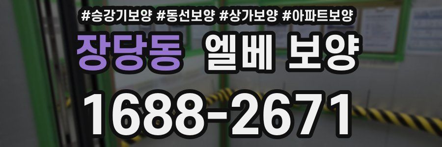 장당동 엘베 보양