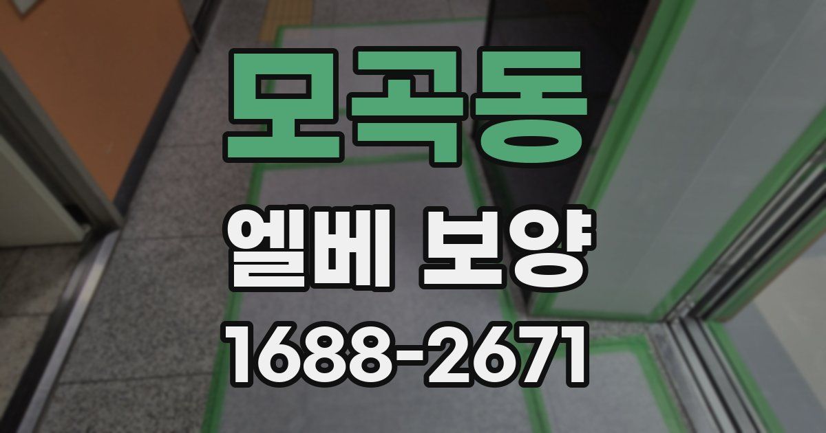모곡동 엘베 보양