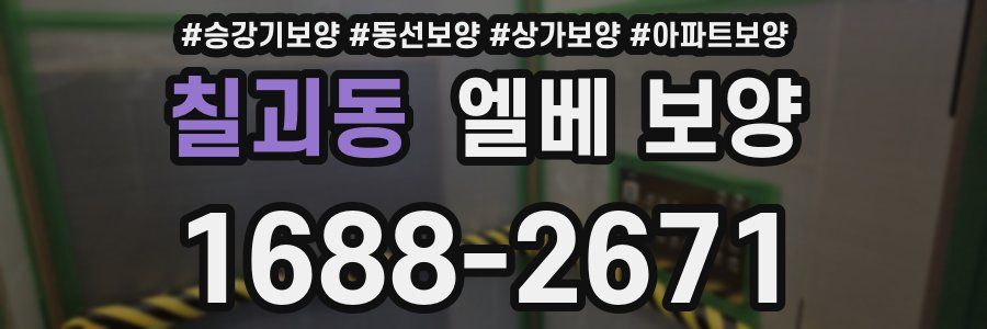 칠괴동 엘베 보양