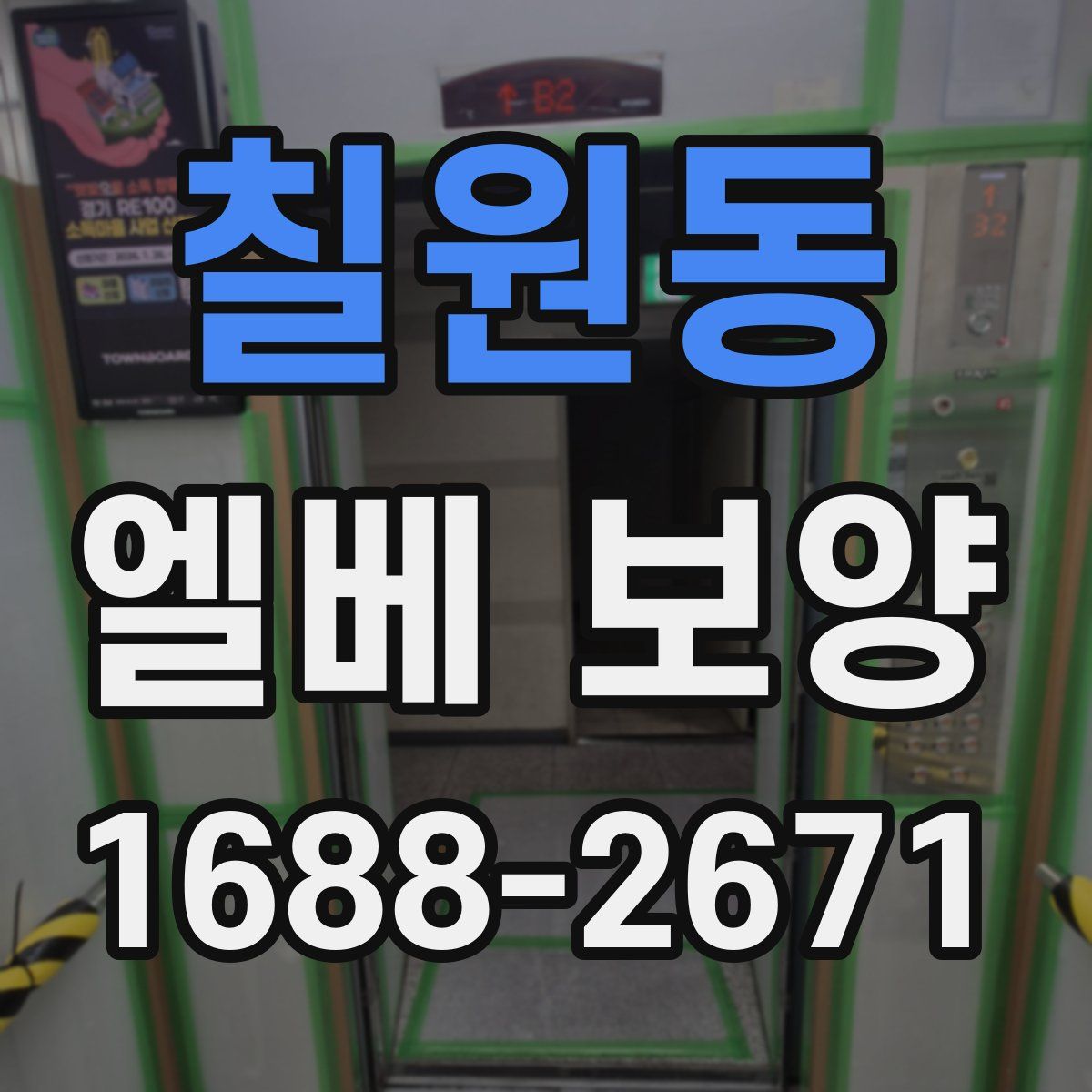 칠원동 엘베 보양