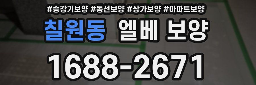 칠원동 엘베 보양