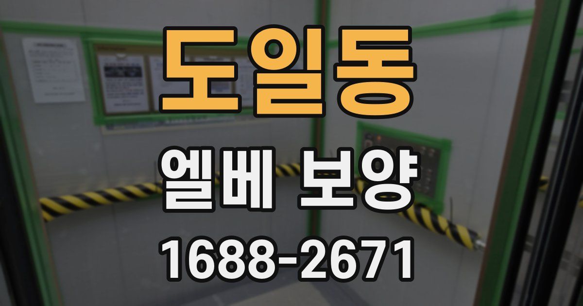 도일동 엘베 보양